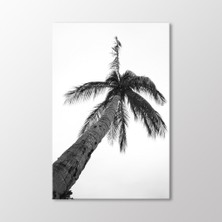Arty Tablo Palmiye, Phi Phi Island, Phuket Tablo