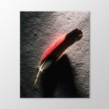 Arty Tablo Kuş Tüyü Tablo