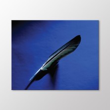 Arty Tablo Kuş Tüyü Tablo
