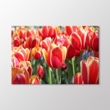 Arty Tablo Laleler Tablo