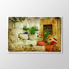 Arty Tablo Sokaktaki Saksılar Tablo