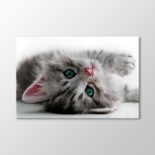 Arty Tablo Yavru Kedi Tablo