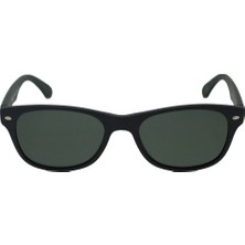 Swing SS134 C542 50 Unisex Güneş Gözlüğü