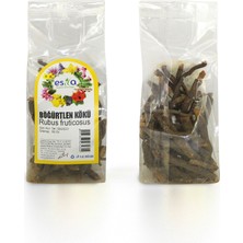 Esila Böğürtlen Kökü