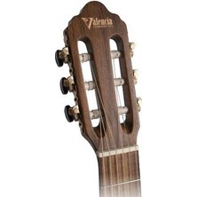 Valencia VC304  Klasik Gitar Scale 4/4 - Naturel Mat - Kapak Sıtka