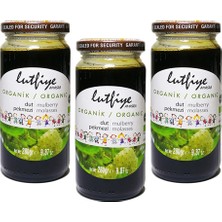 Lutfiye Organik Dut Pekmezi 280 gr / 3'lü Paket