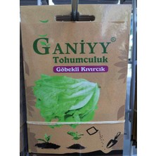 Ganiyy Göbekli Kıvırcık Tohumu Güvenilir
