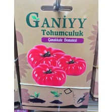 Ganiyy Çanakkale Domatesi Tohumu Güvenilir