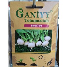 Ganiyy Beyaz Turp Tohumu Güvenilir