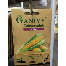 Ganiyy Süt Mısır Tohumu Güvenilir