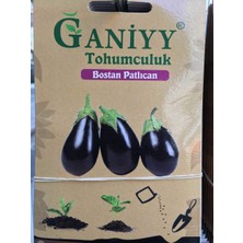 Ganiyy Bostan Patlıcan Tohumu Güvenilir