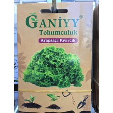 Ganiyy Arap Saçı Kıvırcık Tohumu Güvenilir
