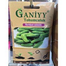 Ganiyy Kornişon Salatalık Tohumu Güvenilir