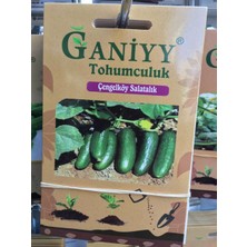 Ganiyy Çengel Köy Salatalık Tohumu Güvenilir