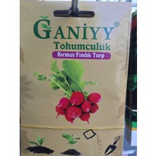 Ganiyy Kırmızı Fındık Turp Tohumu Güvenilir