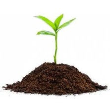 Tohumcumm 3 Litre Torf Toprak Perlit Karışımlı Torf Çiçek Toprağı Saksı Toprağı Torf Bitki Toprağı