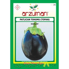 Arzuman Küçük Çiftlik Top Patlıcan Tohumu 10 gr Topan Çeşidi