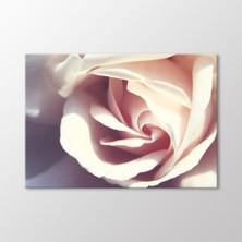 Arty Tablo Beyaz Gül Tablo