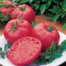 Ev Ve Bahçe Iri Oturak Nadir Pink Beef Pembe Domates Fidesi (5 Adet)