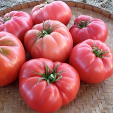 Ev Ve Bahçe Leziz Verimli Pembe Köy F1 Domates Fidesi (5 Adet)
