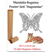 Enine Boyuna Eğitim Mandala Poster Tablosu 15 Adet (30 cm x 42 Cm)