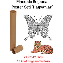 Enine Boyuna Eğitim Mandala Poster Tablosu 15 Adet (30 cm x 42 Cm)