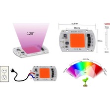 Profisher Tam Spektrum 380-840NM Uv LED Cob Topraksız Tarım Bitki Büyütme 50W 220V