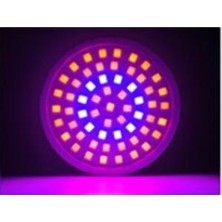 Profisher Tam Spektrum Bitki Büyütme 60 LED Lamba E27 Duy 220V Kapalı Mekan