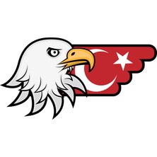 Sticker Fabrikası Türk Bayrağı ve Kartal Sticker 00727