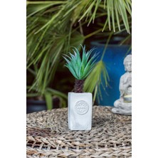 Arma House California Palm Beton Saksılı Çiçek ( Yapay Çiçek )