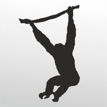 Technopa Folyo Sticker Maymun 102