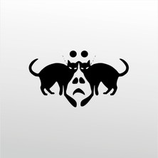 Technopa Folyo Sticker Kediler 108