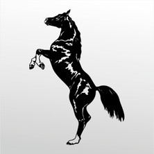 Technopa Folyo Sticker At 106