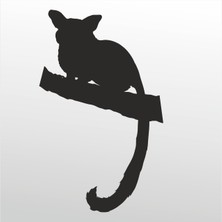 Technopa Folyo Sticker Rakun 101