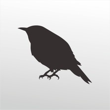 Technopa Folyo Sticker Serçe 102