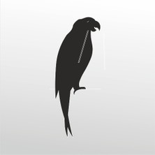 Technopa Folyo Sticker Papağan
