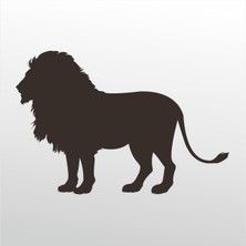 Technopa Folyo Sticker Aslan 103