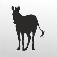 Technopa Folyo Sticker Eşek