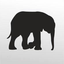 Technopa Folyo Sticker Fil 101