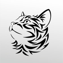 Technopa Folyo Sticker Yavru Kedi