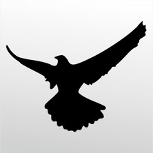 Technopa Folyo Sticker Güvercin 105