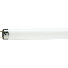 Philips Tl-D 36W/865 120 cm