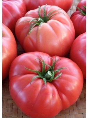100 Adet Tohum Köy Domatesi Tohumu Ata Tohum Yerli Tabak Köy Domates