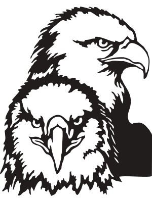 Sticker Fabrikası Kara Kartal Beşiktaş Bjk 1903 Şahin Sticker 00630