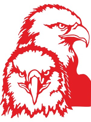 Sticker Fabrikası Kara Kartal Beşiktaş Bjk 1903 Şahin Sticker 00630