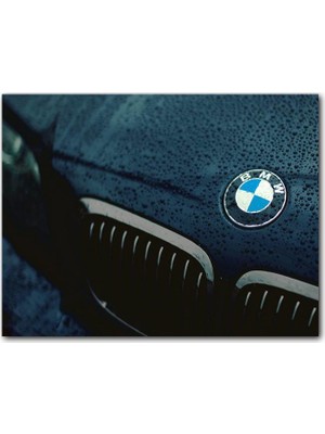Cakatablo Ahşap Tablo BMW Logo ve Yağmur Damlaları