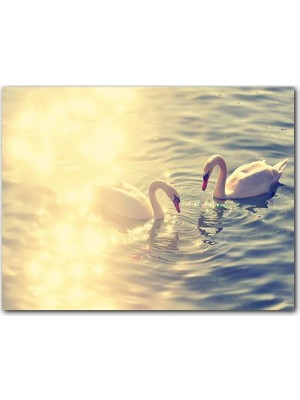 Cakatablo Ahşap Tablo Gölde Güneş Işıkları ve Kuğular