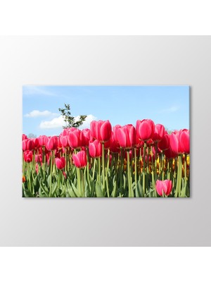 Arty Tablo Laleler Tablo