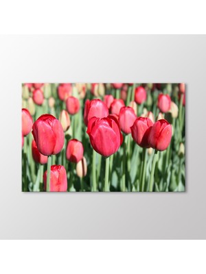 Arty Tablo Laleler Tablo