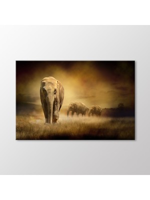 Arty Tablo Filler Tablo